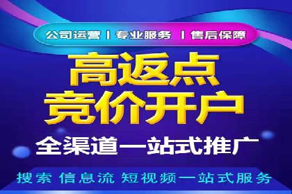 SEM外包服务应用案例分析